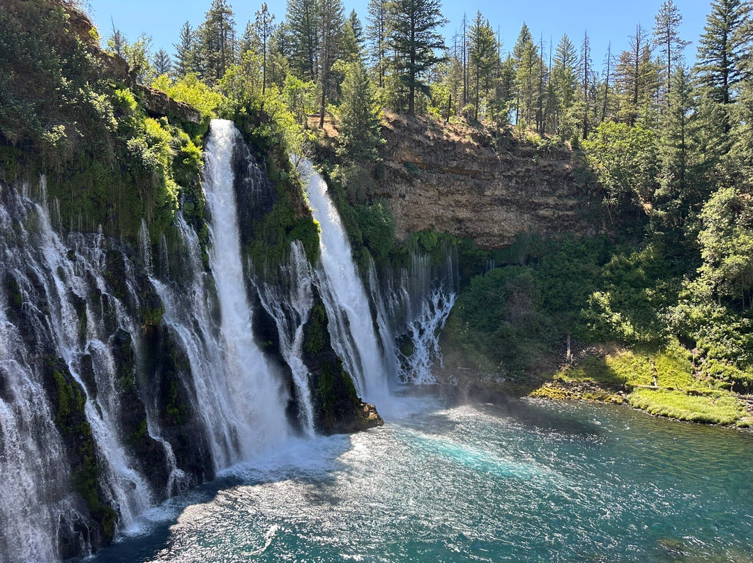 Shasta-Trinity National Forest-芒特沙斯塔必去景点