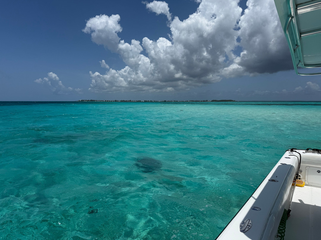 Reel Vibes Charters-西湾必去景点