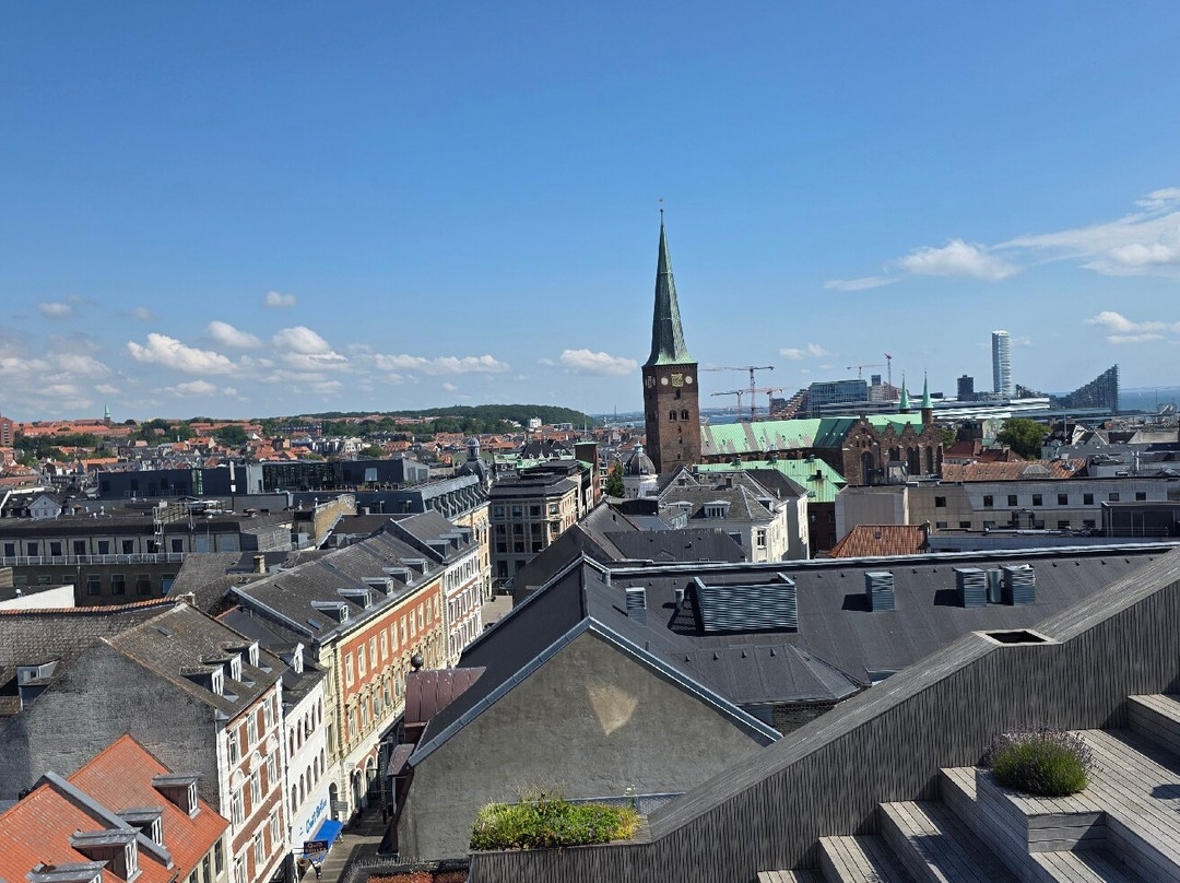 Salling Rooftop-欧胡斯必去景点