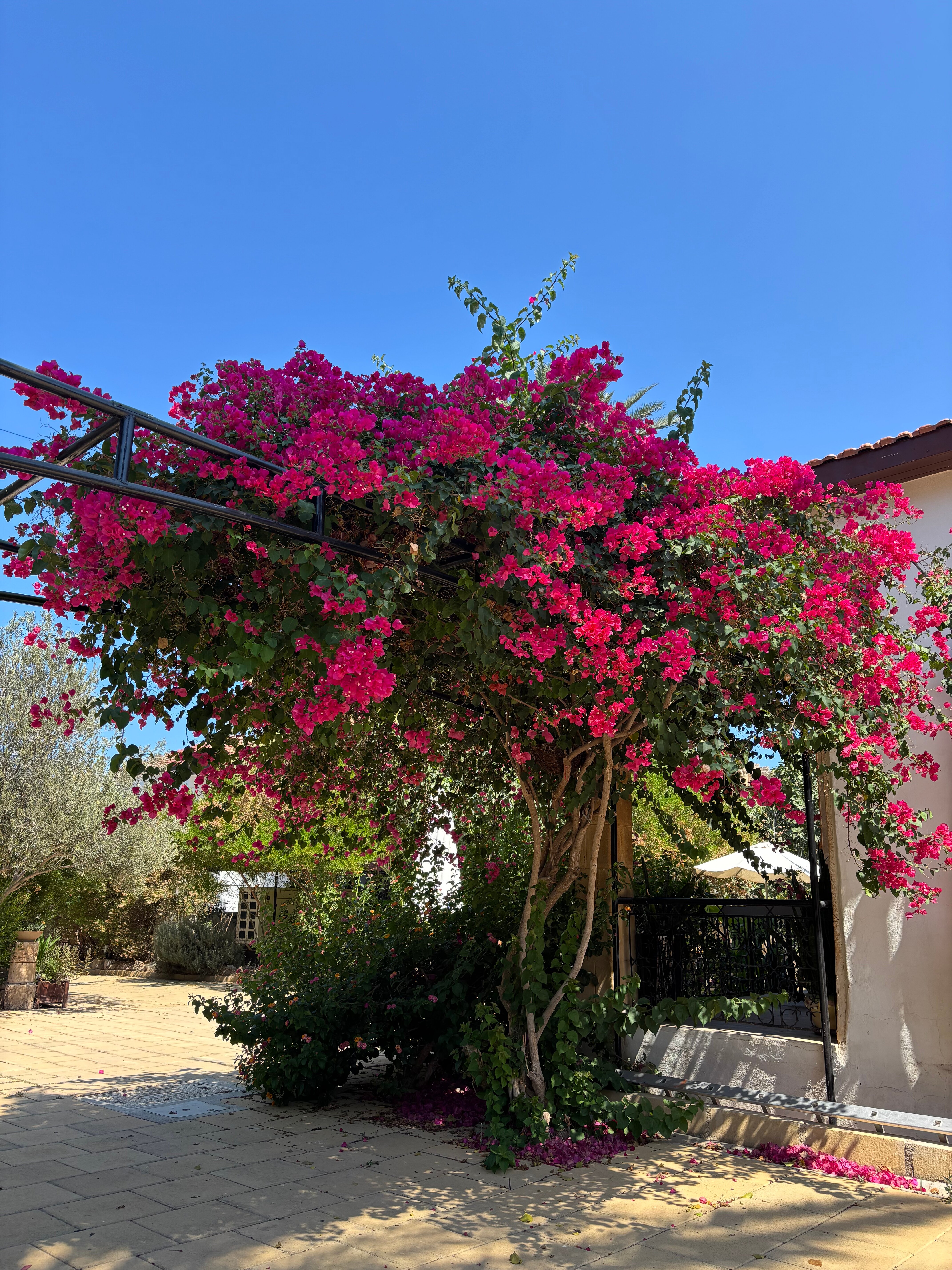 Golden Palms Guest House & Cafe-浴室