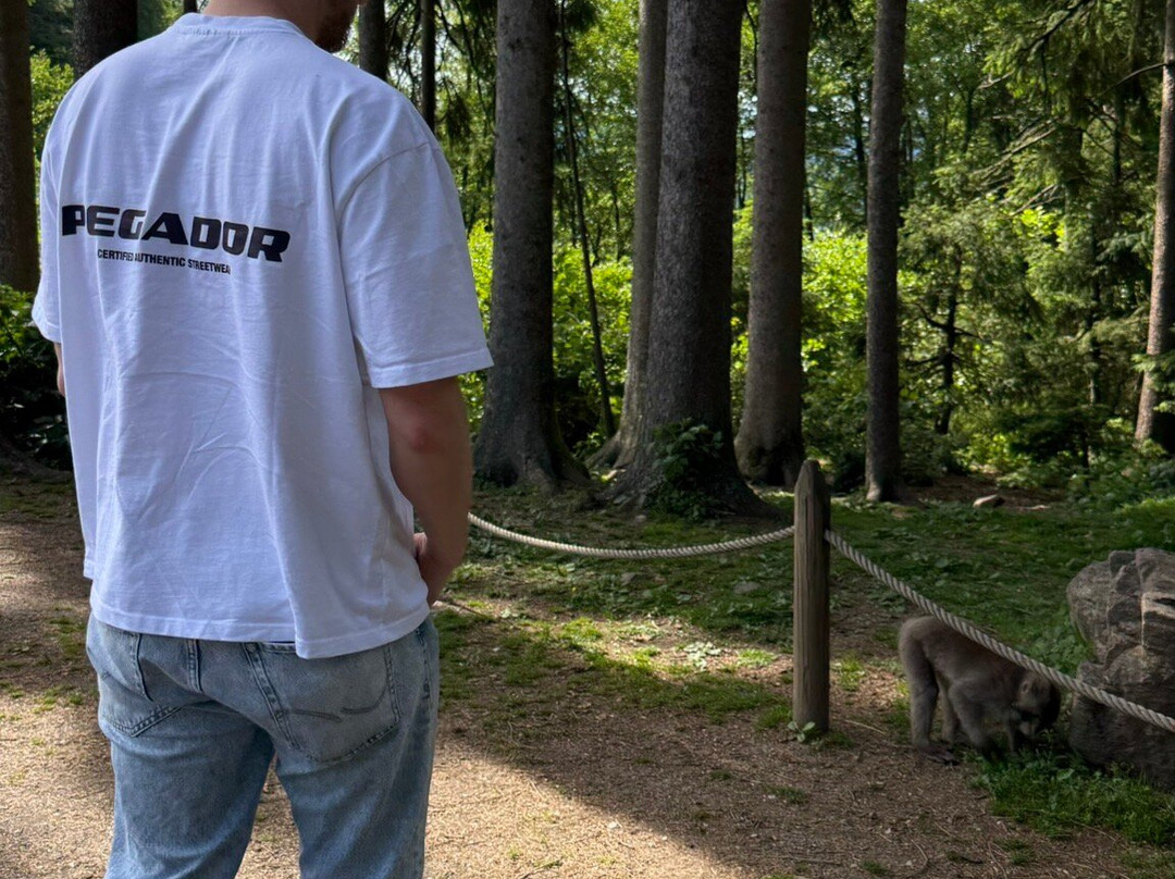 Abenteuer Affenberg tt.-Landskron必去景点