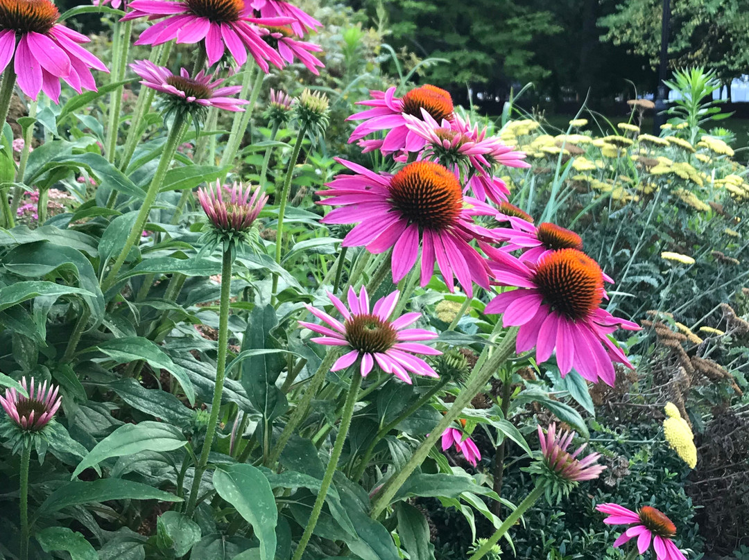 布什内尔公园-哈特福德必去景点