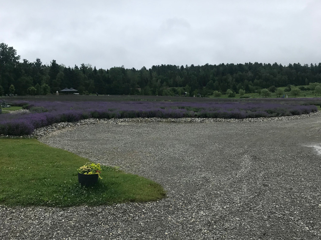 Bleu Lavande-梅戈格必去景点