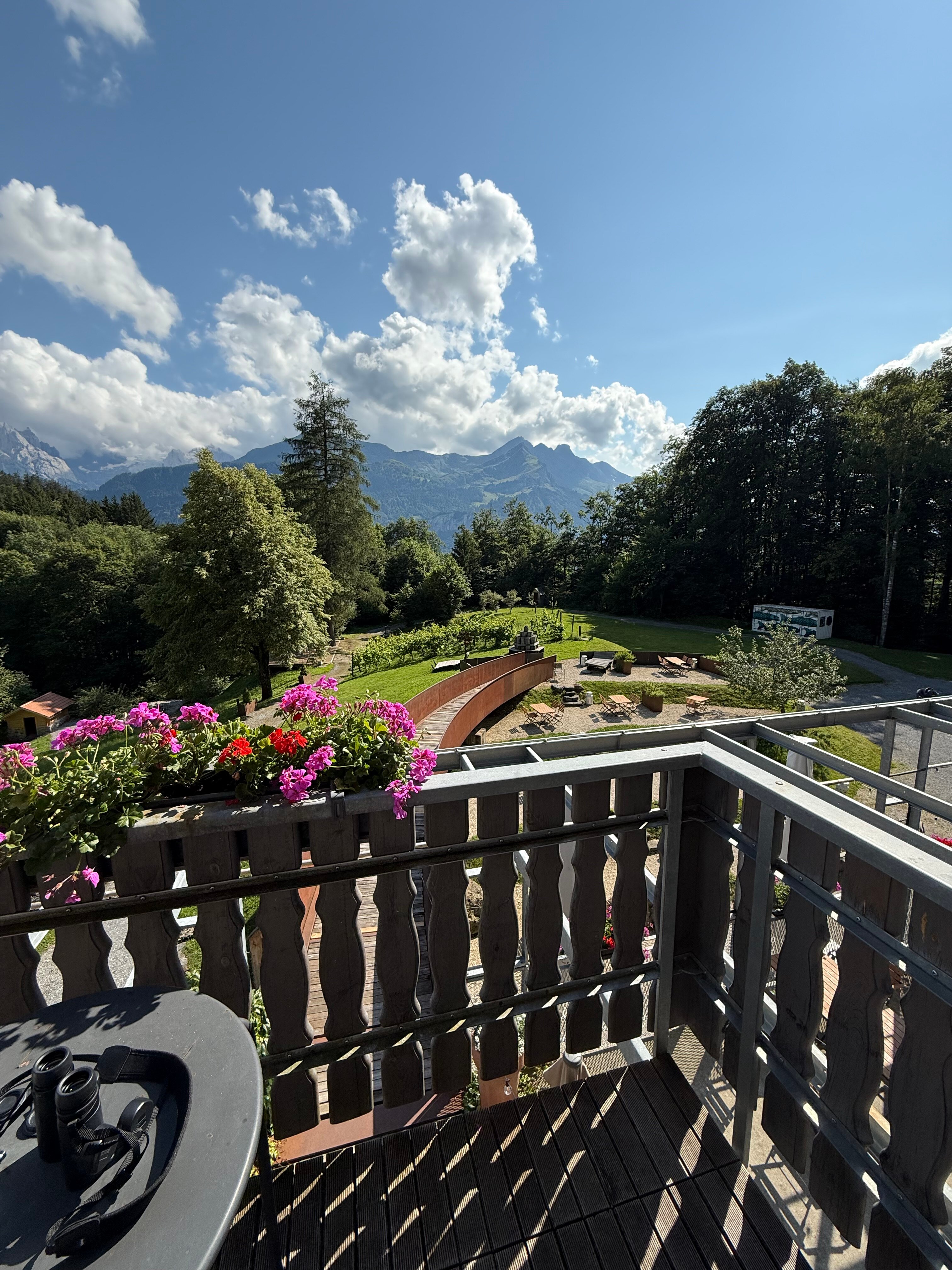 Hotel Wetterhorn-酒店景观