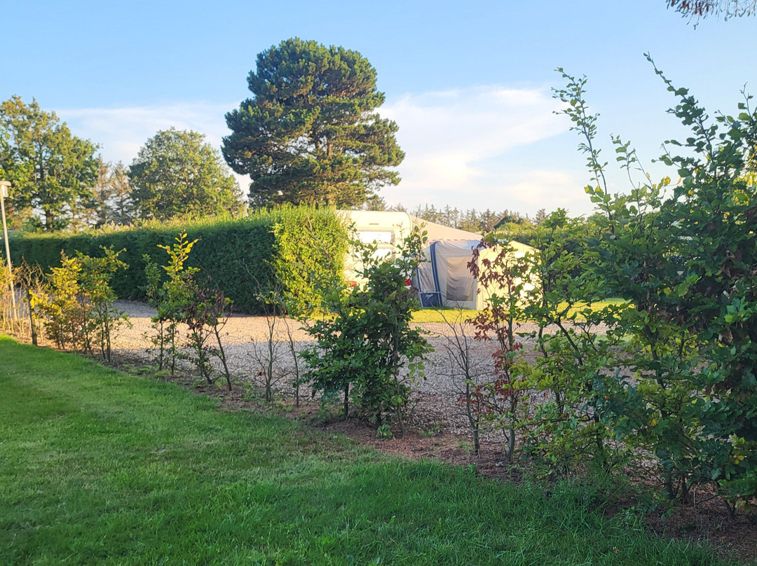 Limfjords Camping & Vandland
