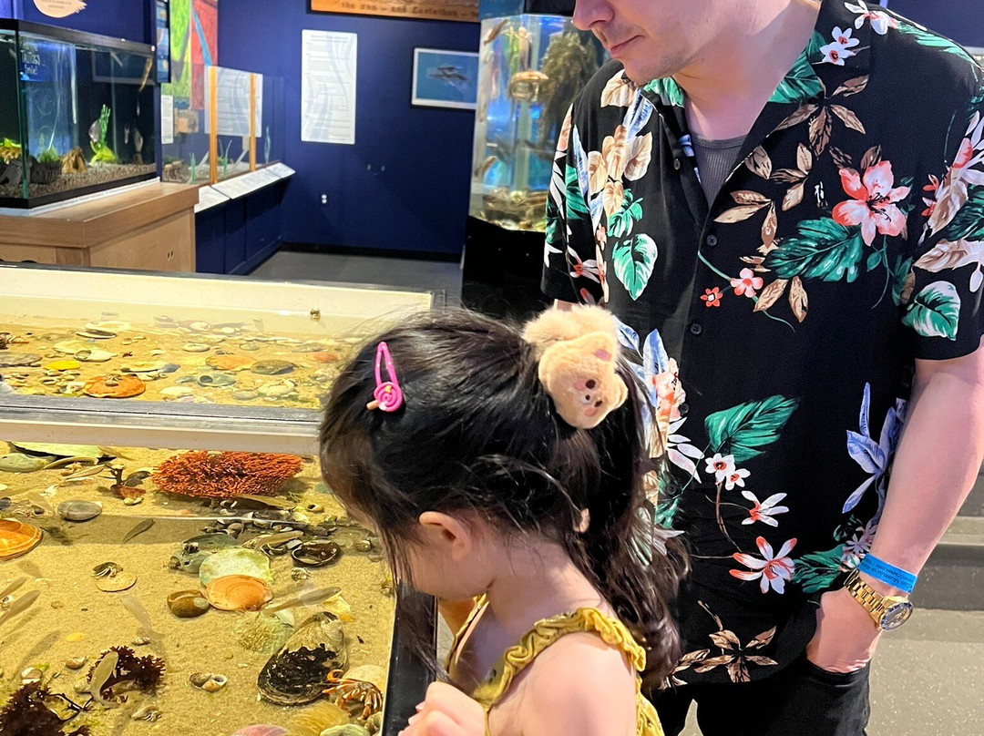 Cape Cod Museum of Natural History-Brewster必去景点