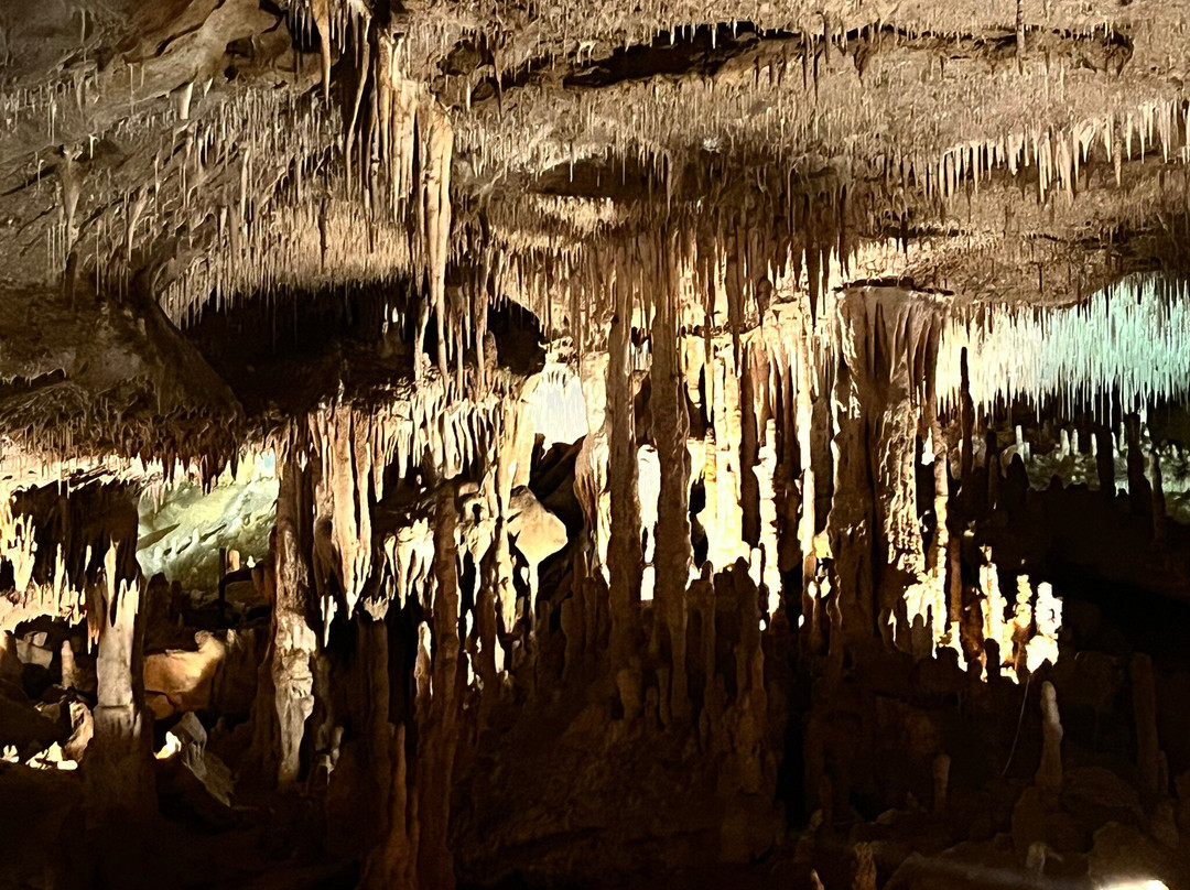 Grottes de Cougnac-Payrignac必去景点