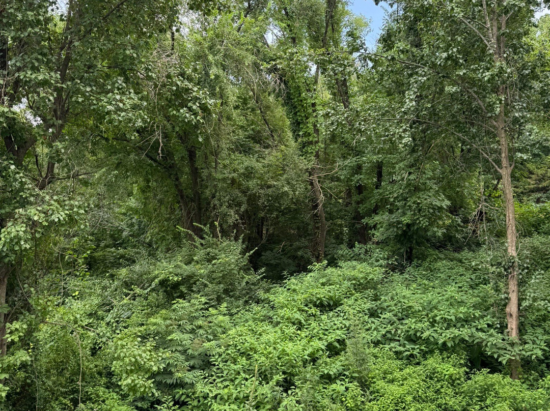 格兰德格莱瑟酒店主图