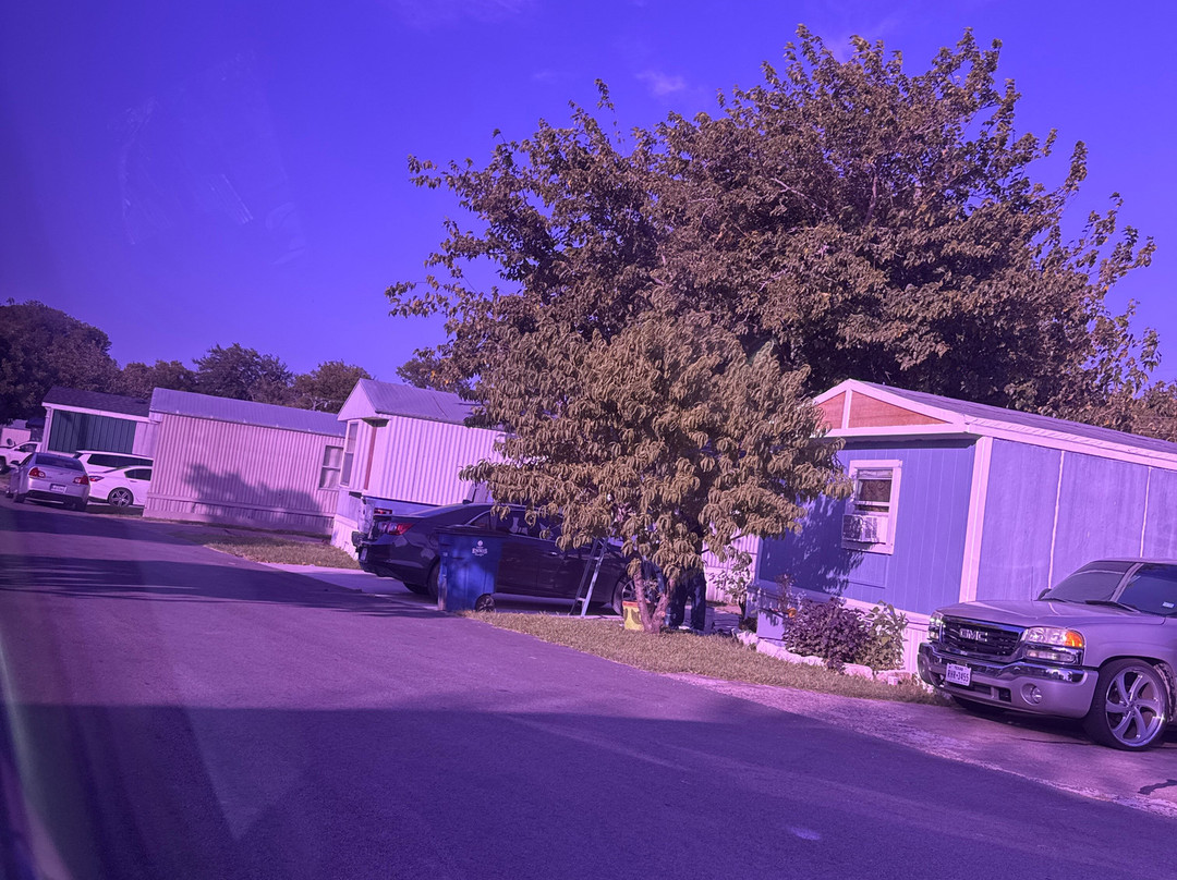 Bluebonnet Trail-恩尼斯必去景点