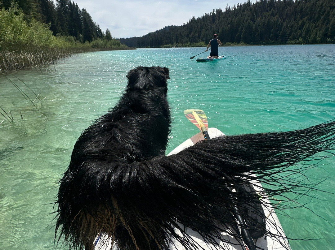 Kentucky Alleyne Provincial Park-Forest Grove必去景点
