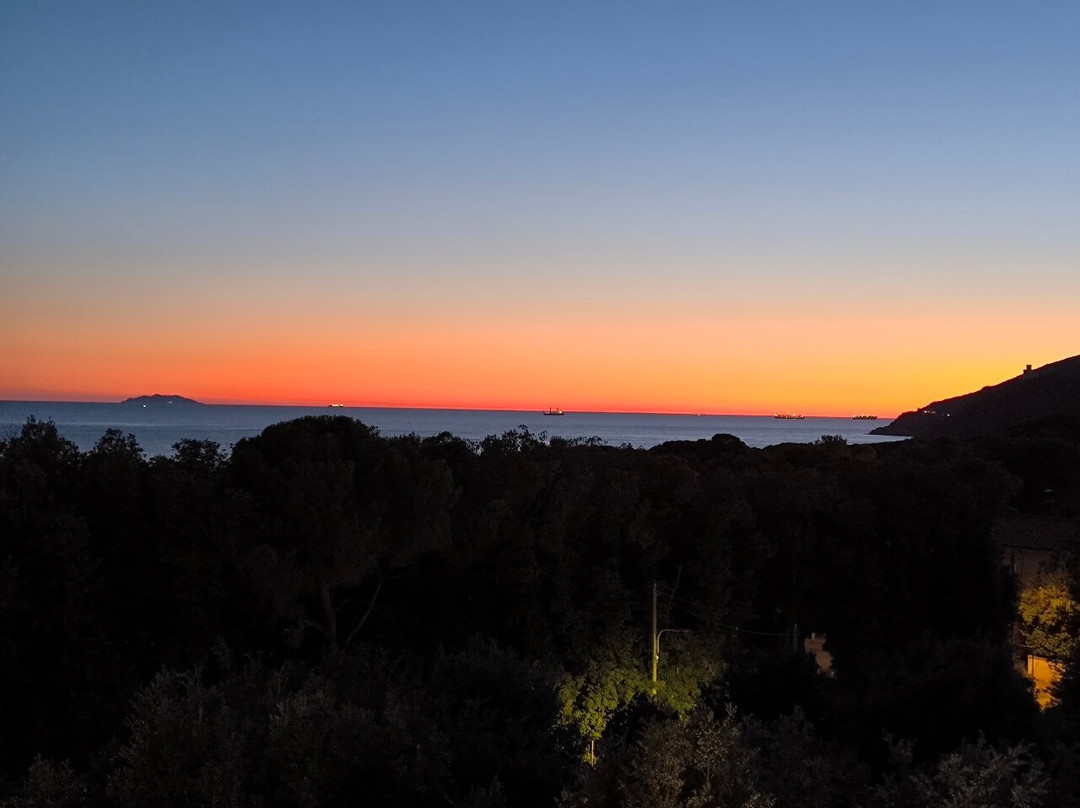 Hotel Rosa del Tirreno主图