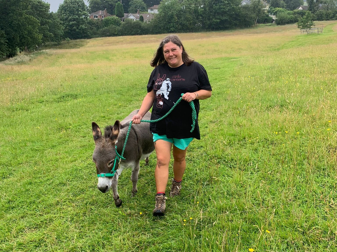 Moel Famau Donkeys-Llanferres必去景点
