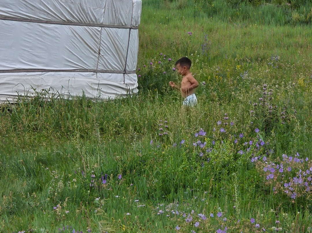 Horseback Mongolia-乌兰巴托必去景点
