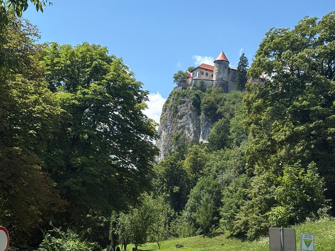 Vila Prešeren Bled主图