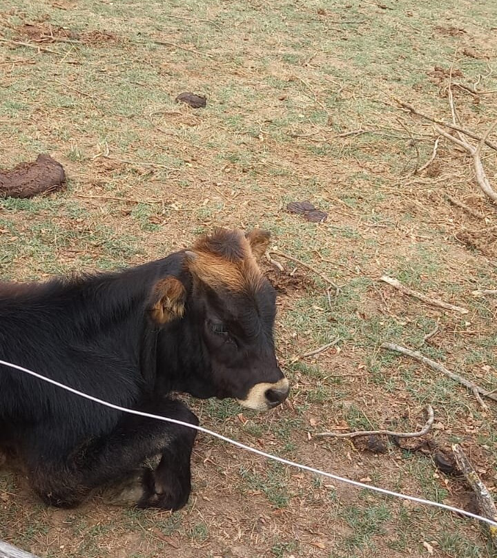 Le Parc Du Thot-Thonac必去景点