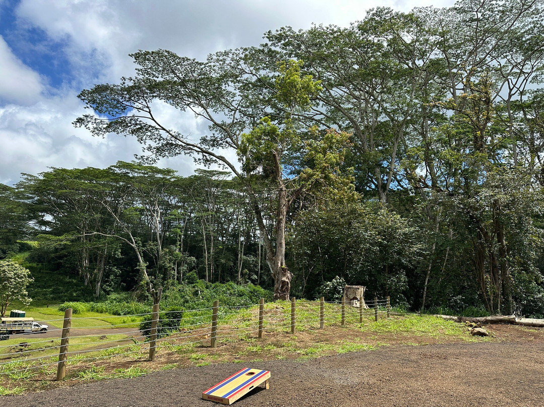 Mountain Tubing-利胡埃必去景点