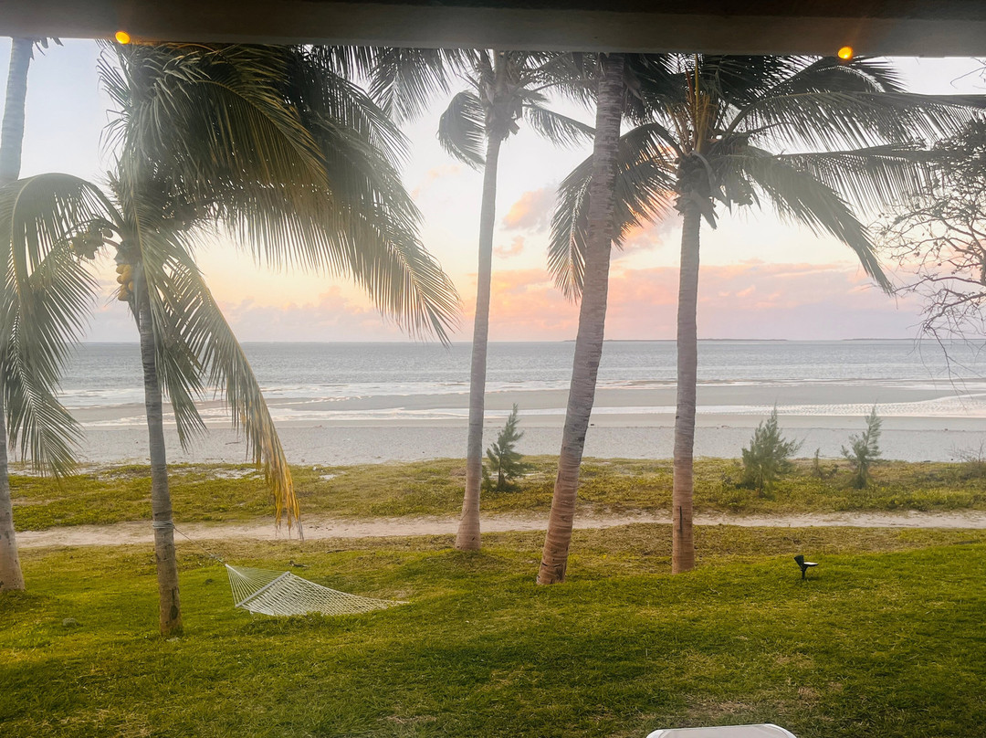 C Rodrigues Mourouk主图