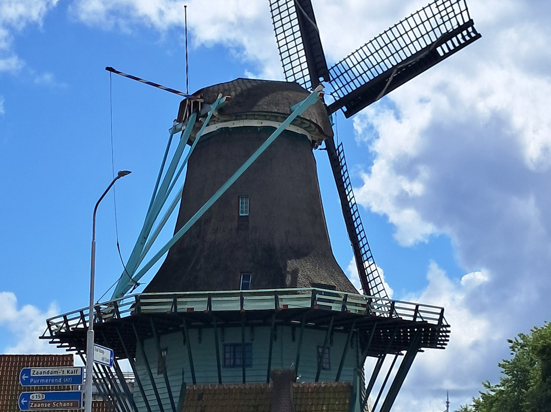 De Bleeke Dood Molen-赞代克必去景点