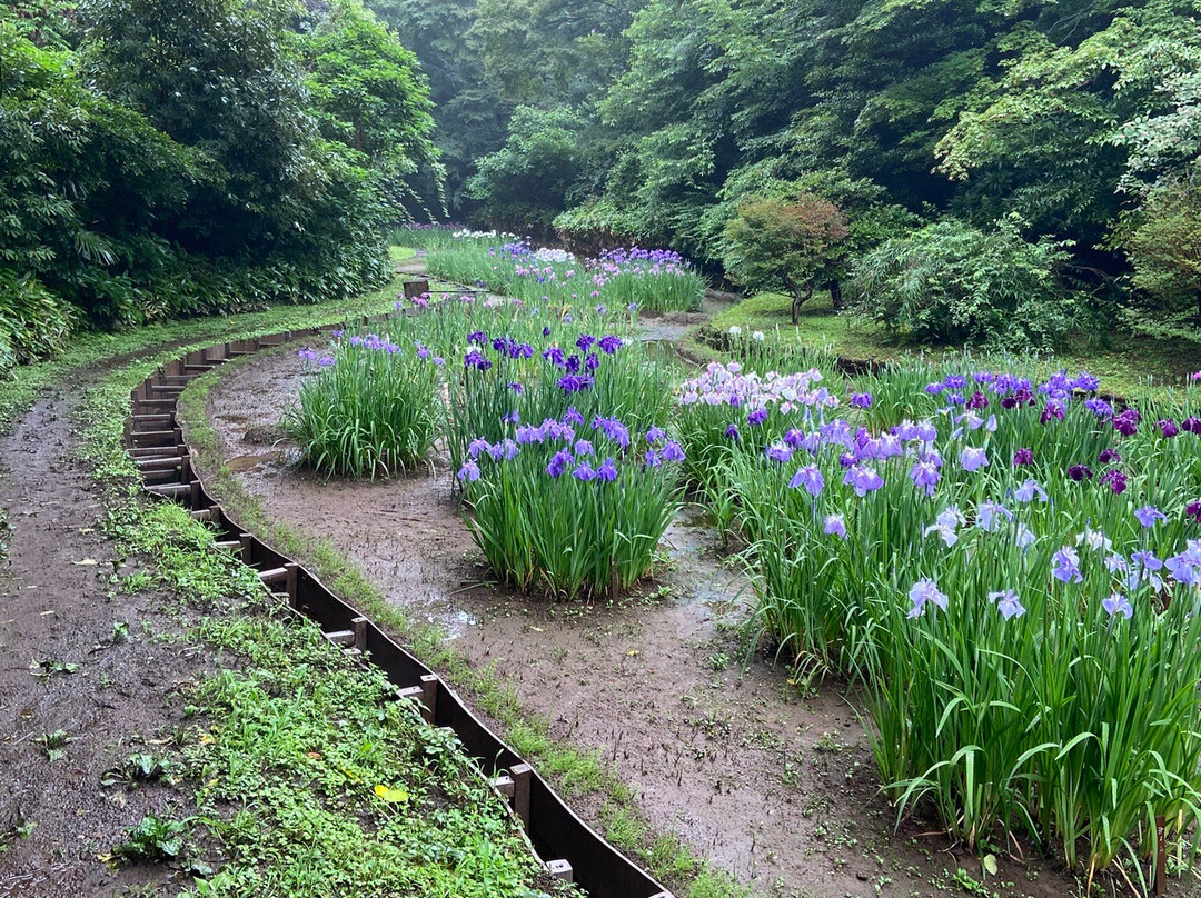 Meiji Shrine Imperial Garden-涩谷区必去景点