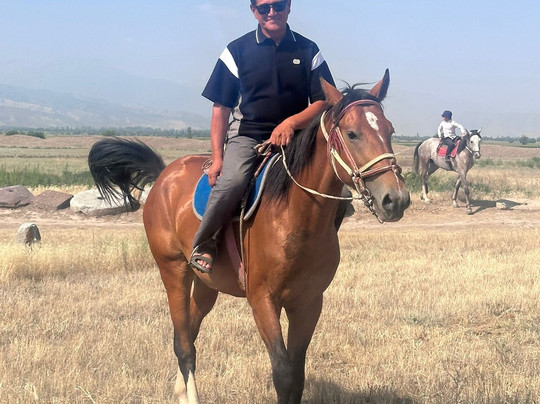 Horse Travel Company