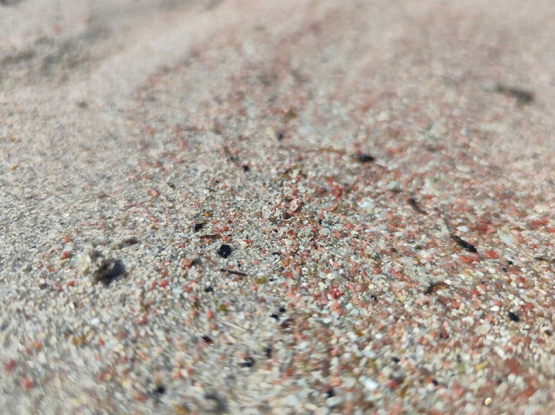 Hotel Casa Mea主图