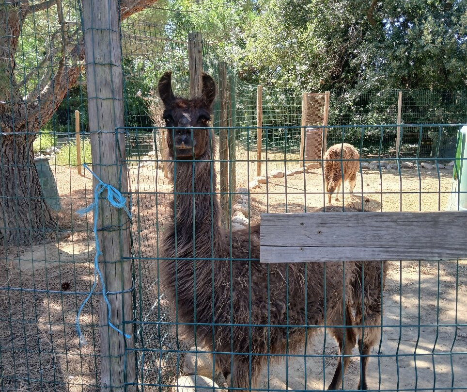 Ferme Des Colombiers Les Amis Des Poneys-Pezilla-la-Riviere必去景点