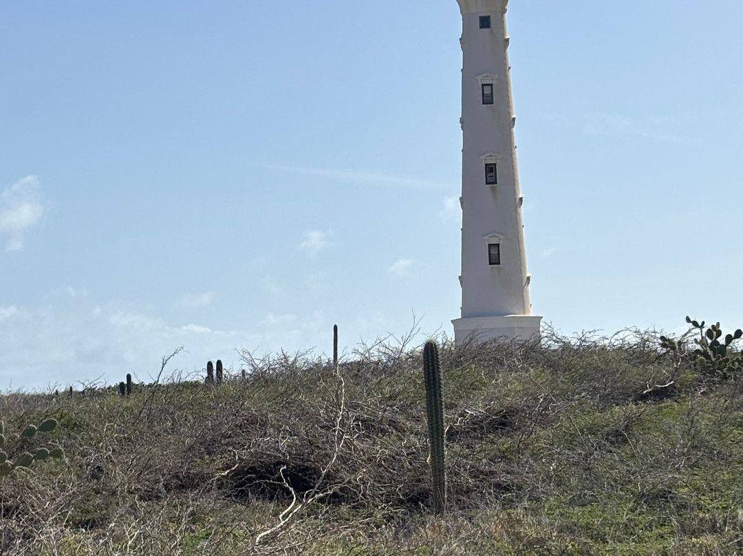 Arubiana-Noord必去景点
