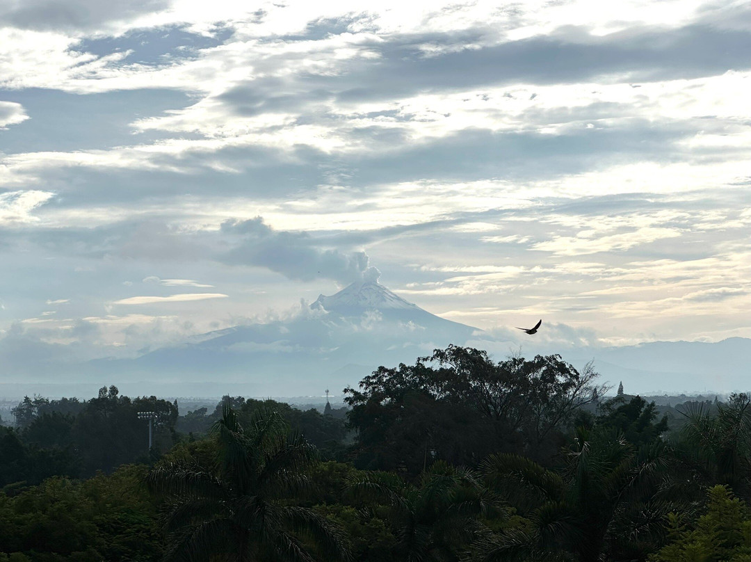 The Lorian Club主图