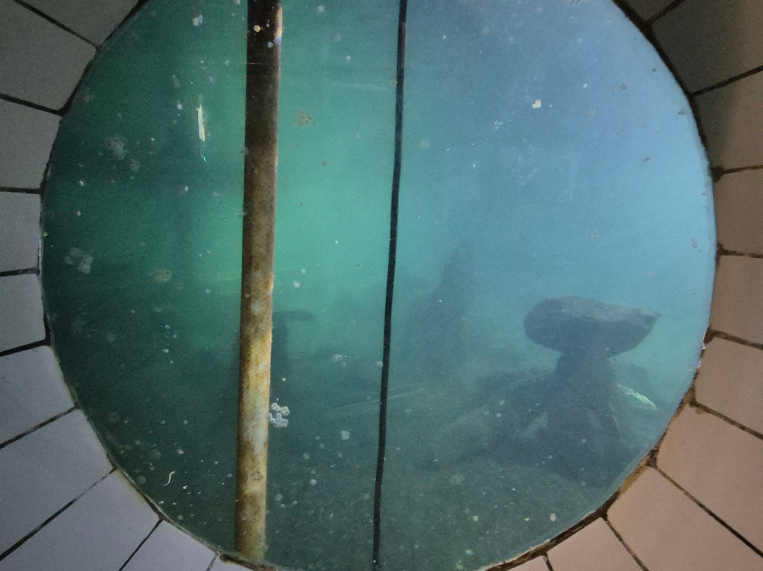 Batumi Dolphinarium-巴统必去景点