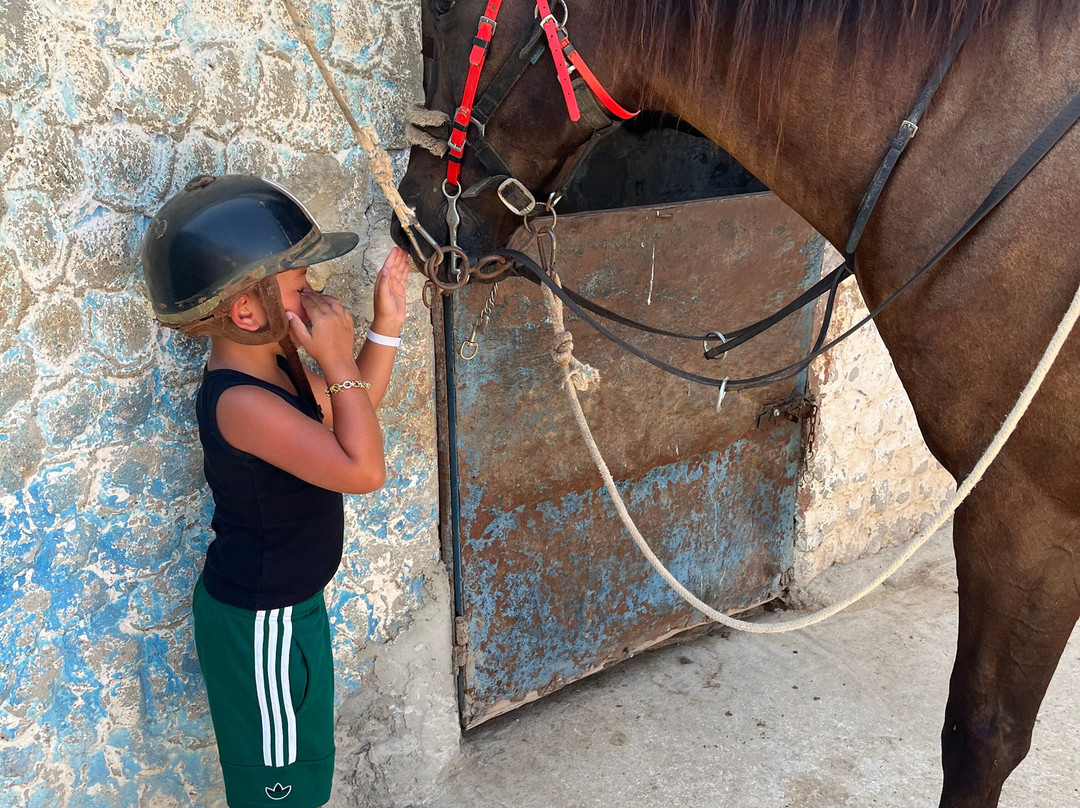 Moonshine Ranch-普它肋斯必去景点