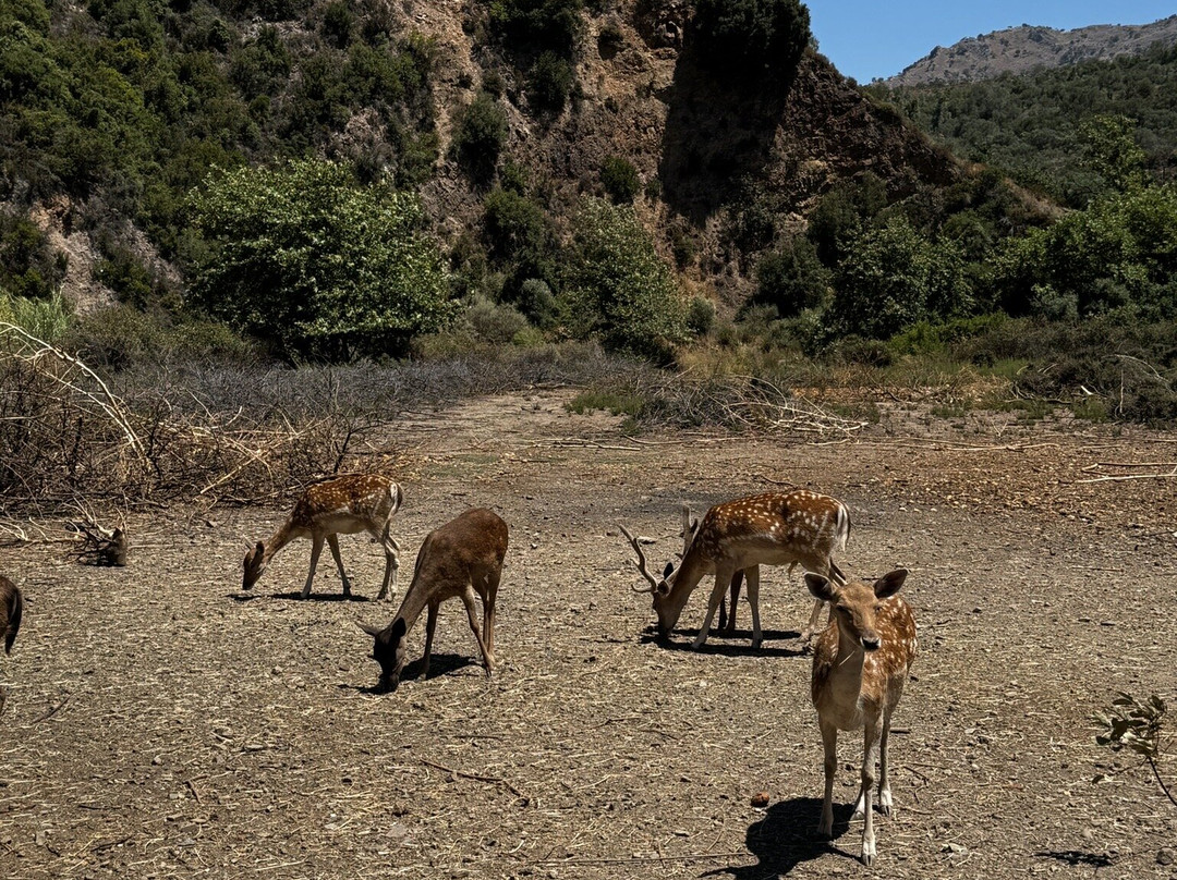 Botanical Park & Gardens of Crete-Omalos必去景点