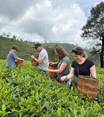 Uva Serene Travels-Buttala必去景点