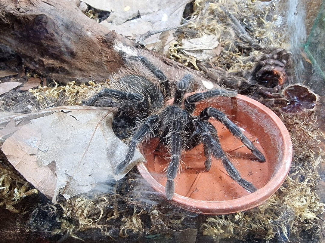 Reptilienzoo Nockalm-Patergassen必去景点