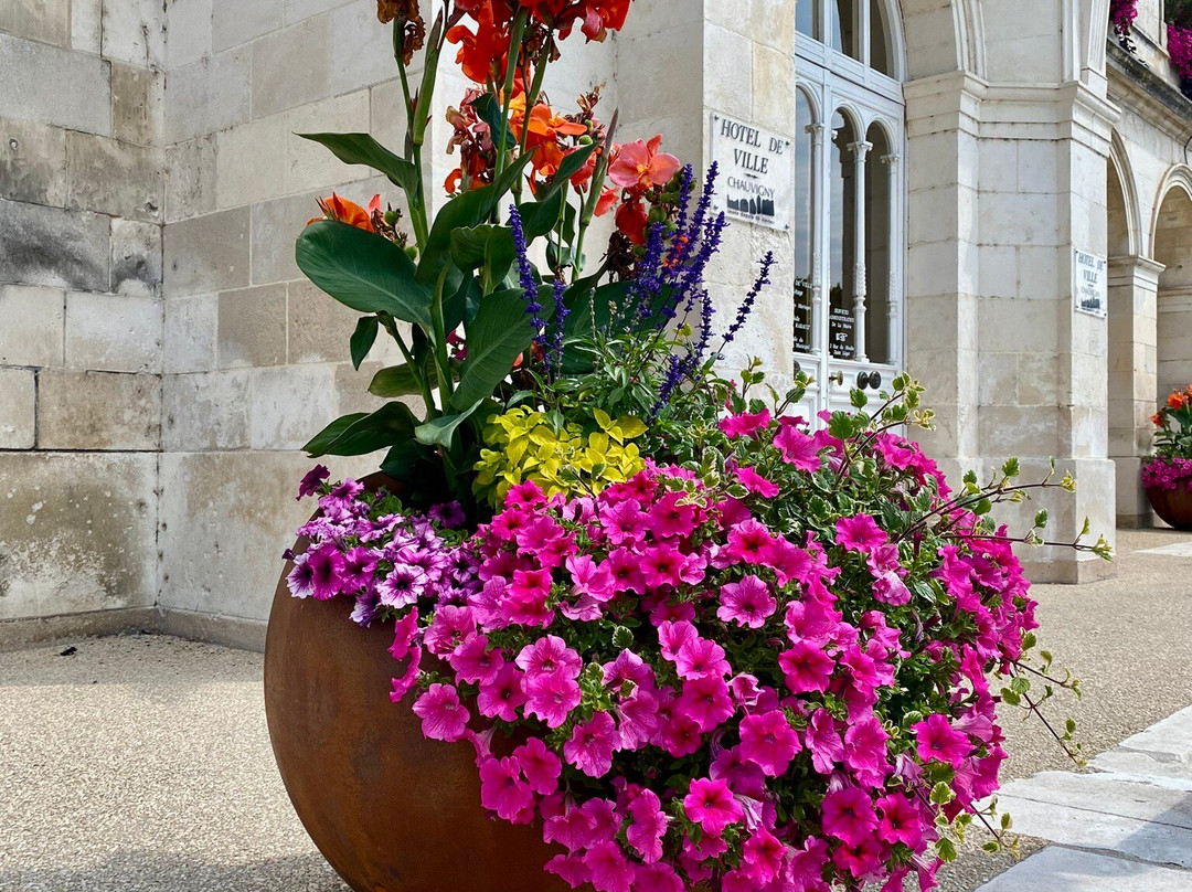 Église Saint-Pierre de Chauvigny-Chauvigny必去景点