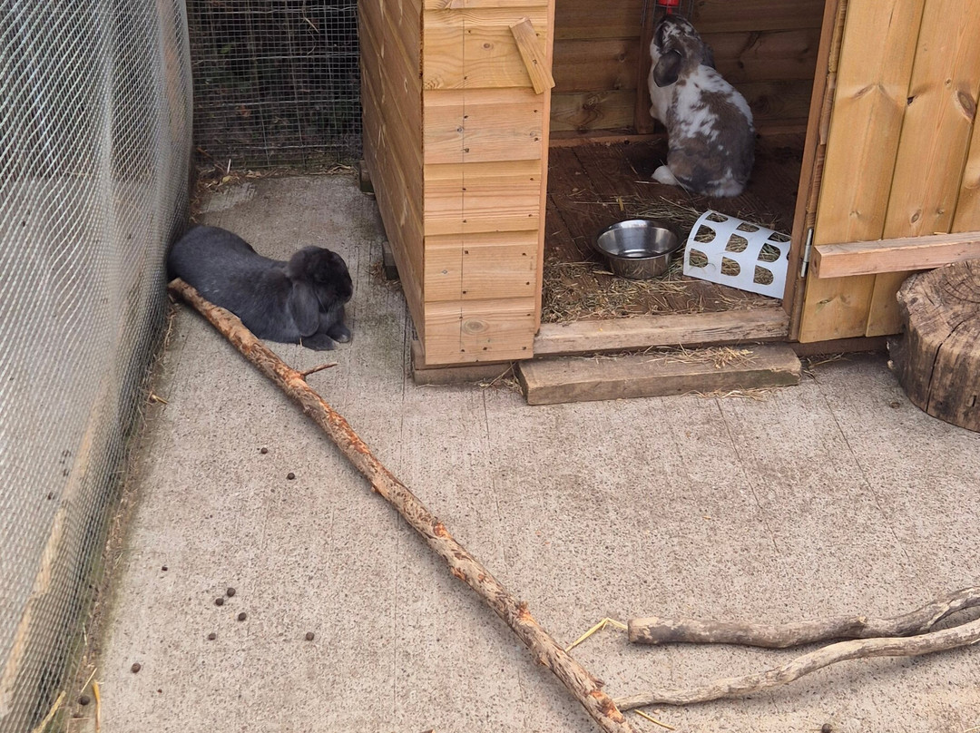 Sedgley Adventure Centre-Sedgley必去景点