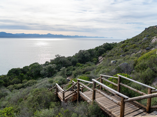 African Moon Adventures-开普敦必去景点