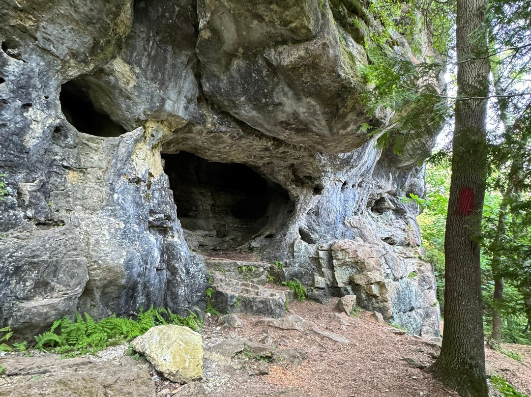 Greig's Caves-布鲁斯半岛必去景点