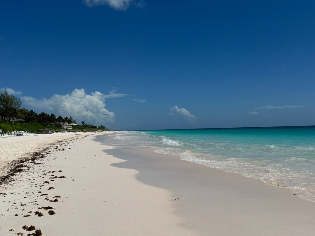 Eleuthera Island Farm-伊柳塞拉必去景点