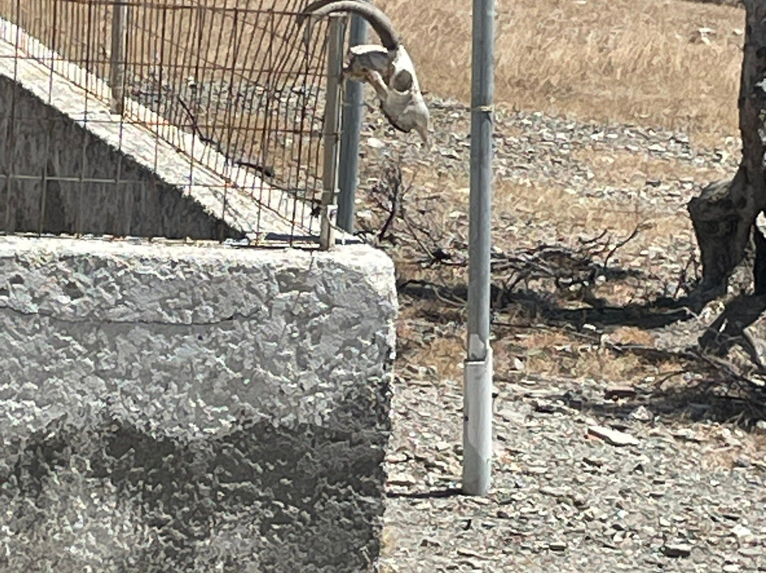 Agios Minas Beach-Kárpathos必去景点