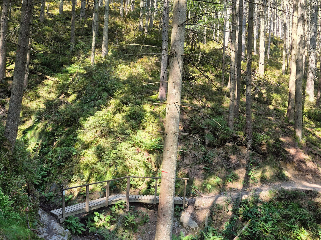 Hotel Grand Champ主图