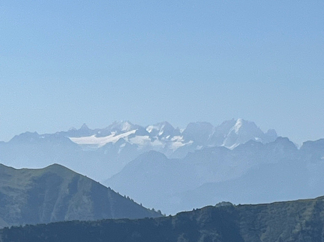 Train à crémaillère Montreux - Rochers-de-Naye-蒙特勒必去景点