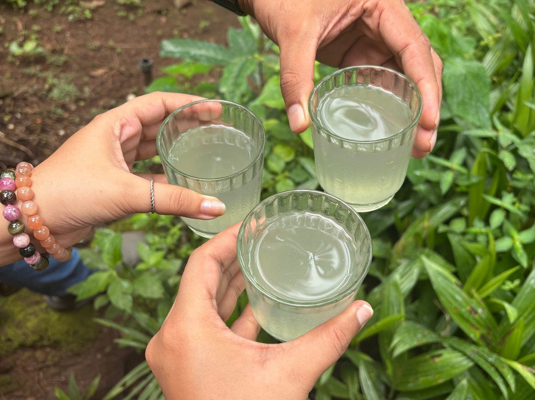 Soul Travelling-巴拿吉必去景点