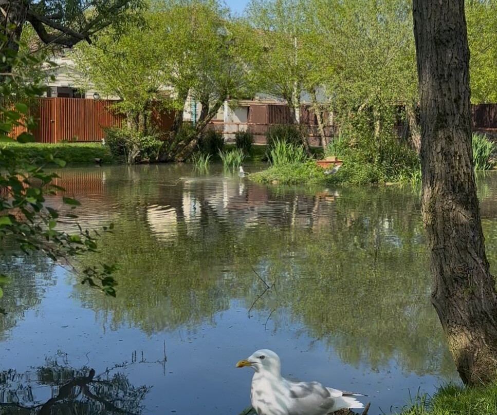 Tiggywinkles Wildlife Hospital Visitor's Centre-Haddenham必去景点