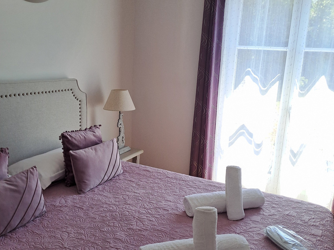 Hôtel La Bastide Saint Martin主图