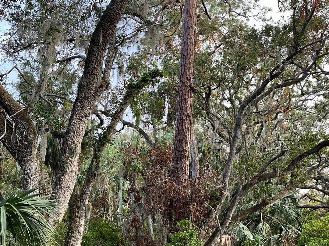 Boyd Hill Nature Preserve-圣彼德斯堡必去景点