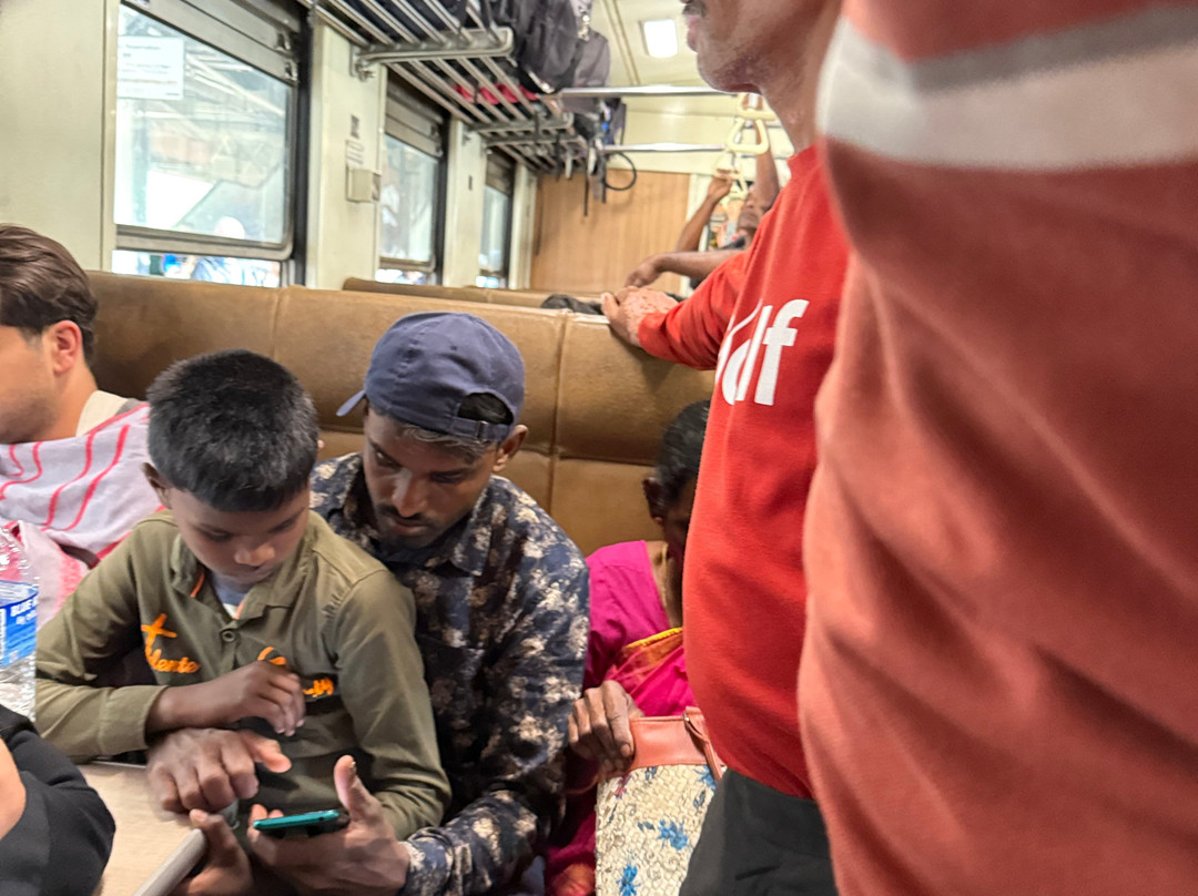 Kandy To Ella Train-阿努拉德普勒圣城必去景点