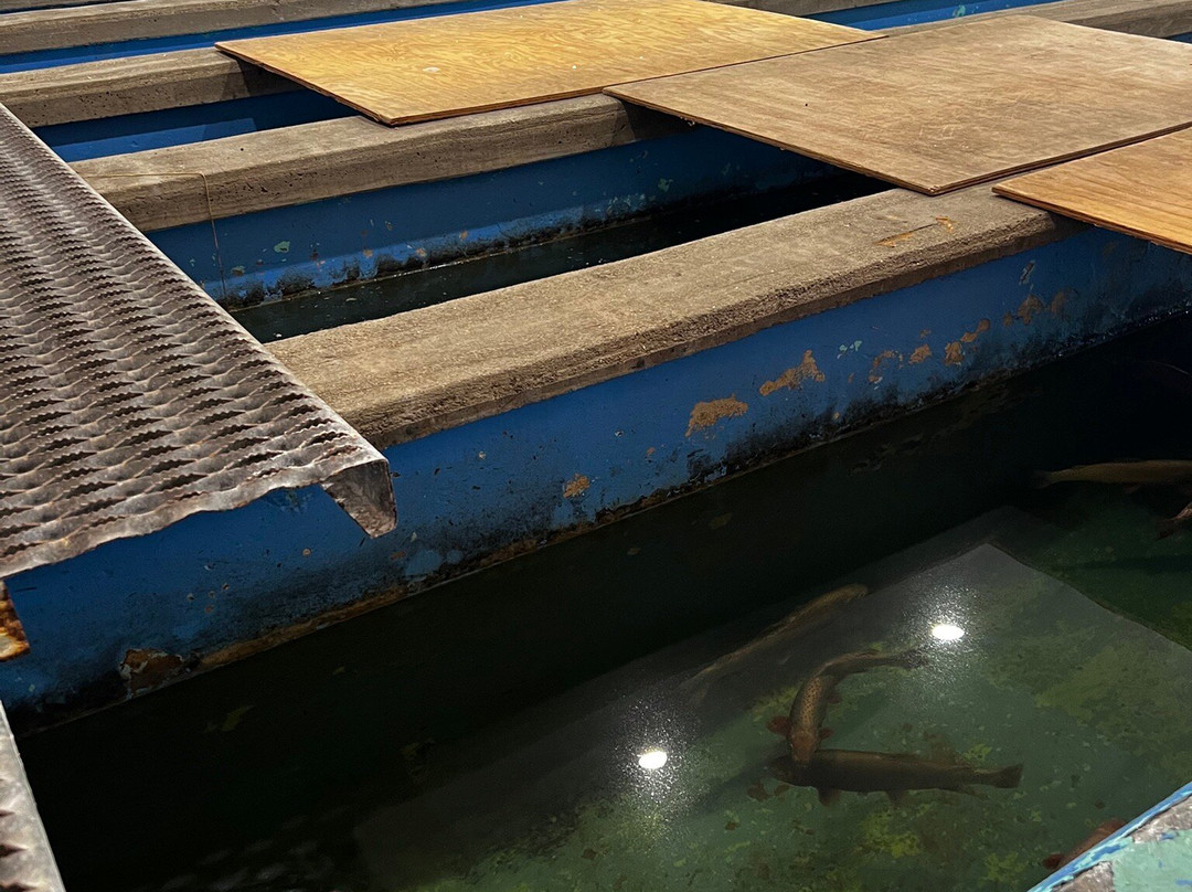 Leadville National Fish Hatchery-Leadville必去景点