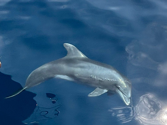 Borrasca Experience-班纳玛德纳必去景点