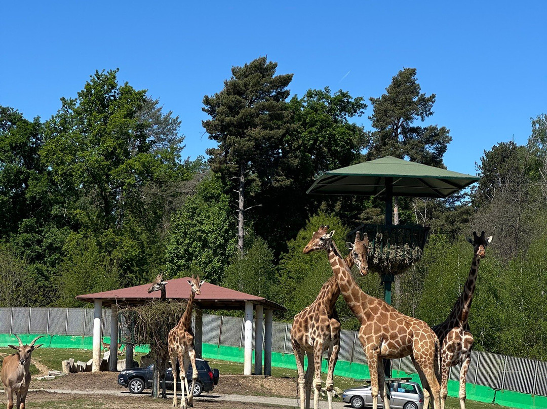 Safari Park-Pombia必去景点