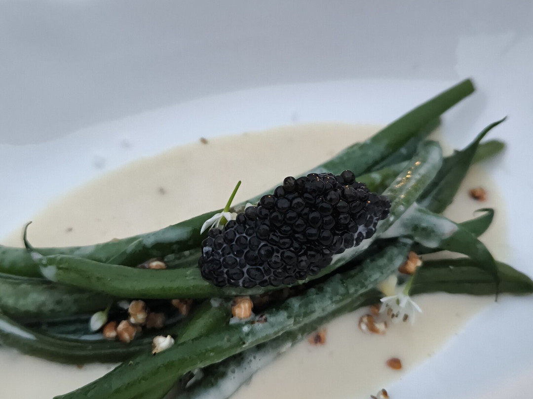 Villa Etang Blanc主图